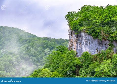  경우산 신비로운 절벽과 울창한 숲을 경험하세요!